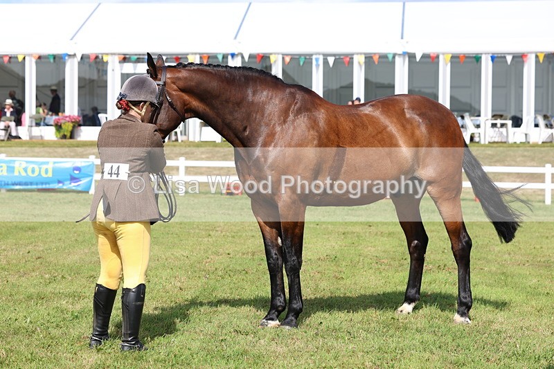 3E7A9531 - Class 4: Rising Star M/H Hunter