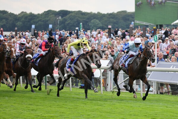 yr20082021r1-14 - Race 1 1.50pm Sky Bet Stakes