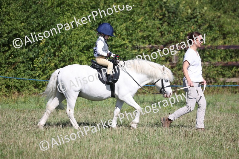 20260906-2141 - Class 16 - Family Pony