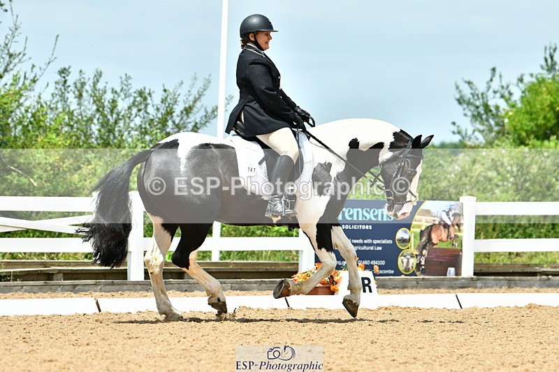 230702A-131219-09815 - Cls 28 Elementary 45