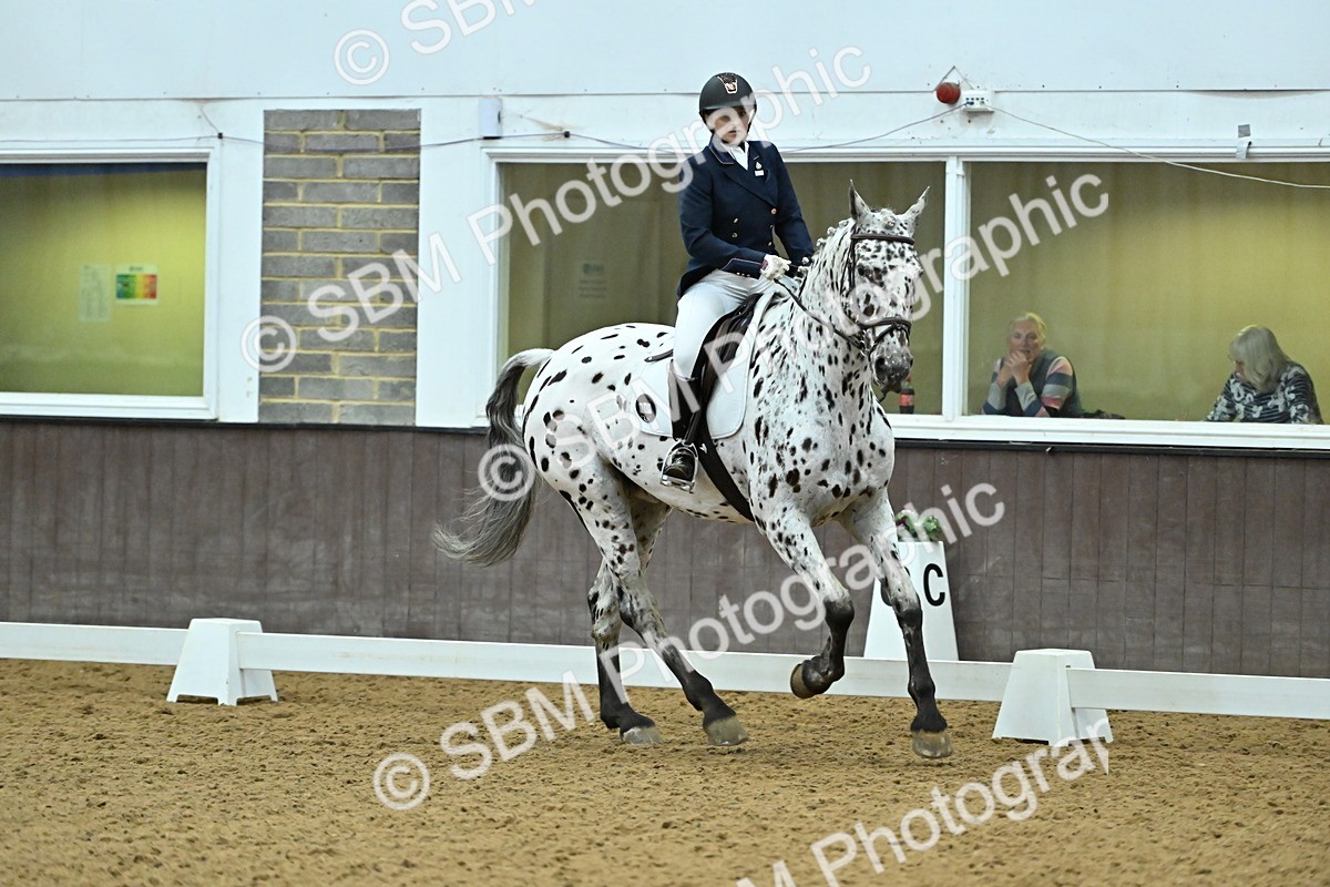 SBM_007504 - Class 81 - Novice 3