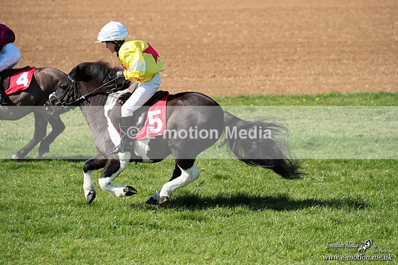 Shet 060426 208 - Shetland Pony Racing Paxford Races Easter Mon 06/04/26