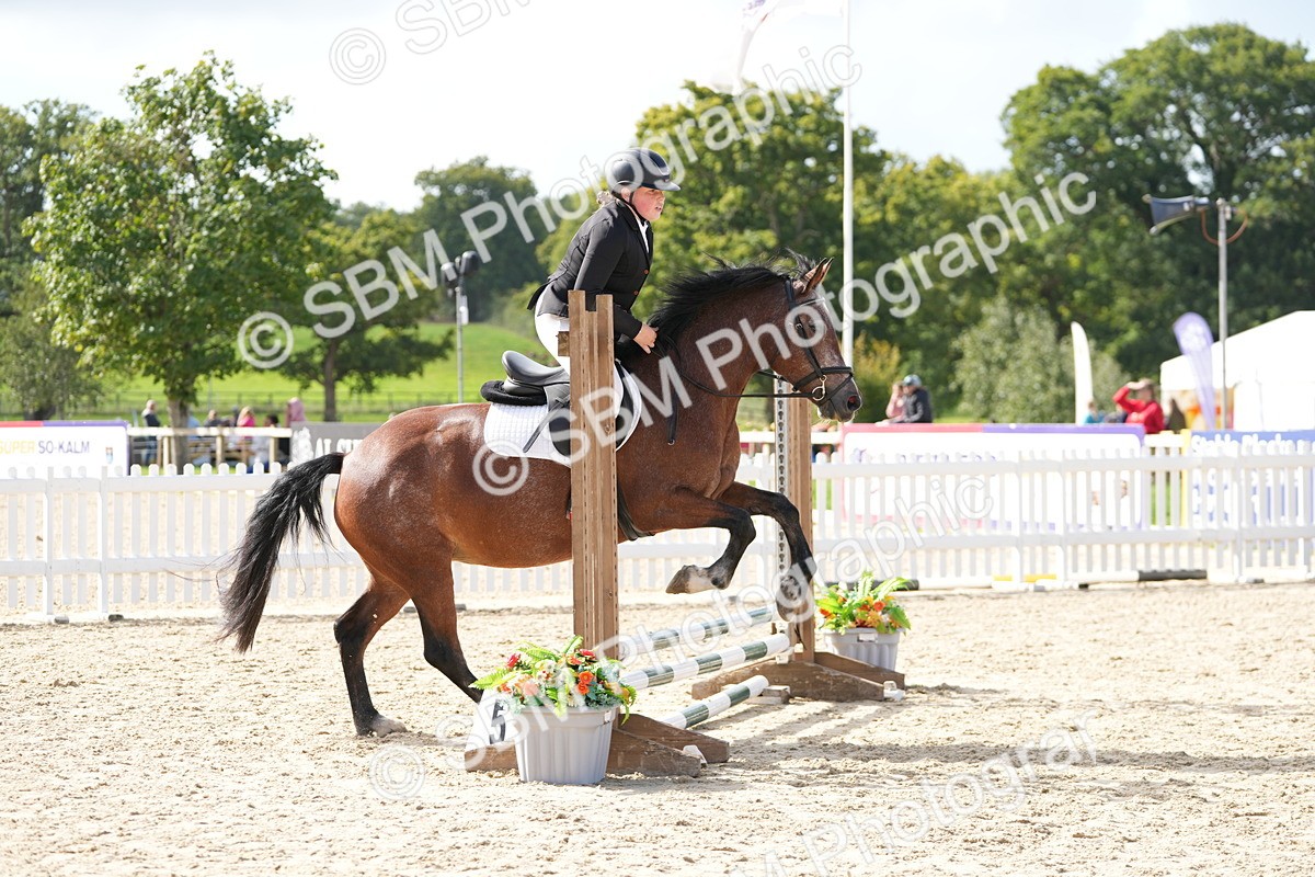SBM_17760 - J58 - Clear Round 50cm