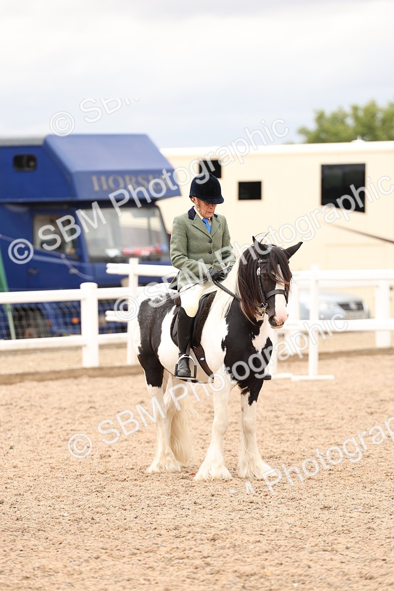 SBM_19699 - Class 216 - Ridden Traditional - Native Cob