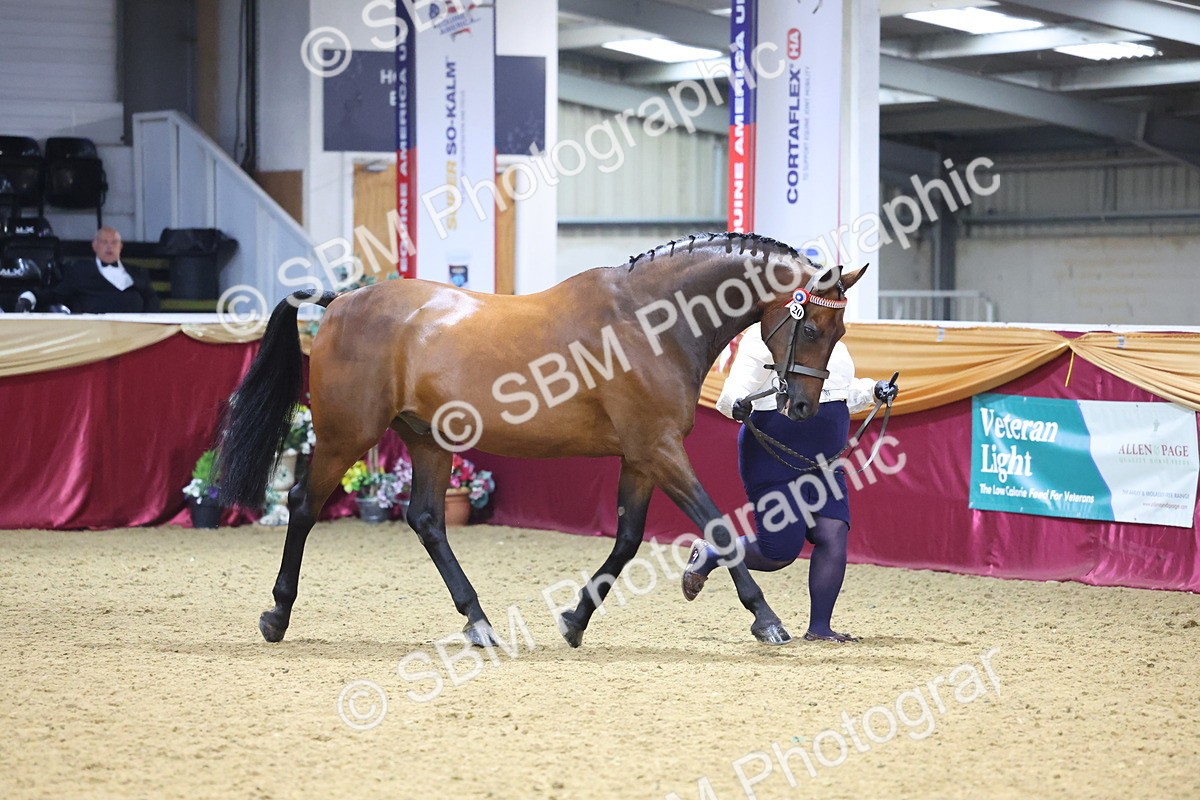 SBM_20987 - Class 902 - Supreme Final IH Veteran