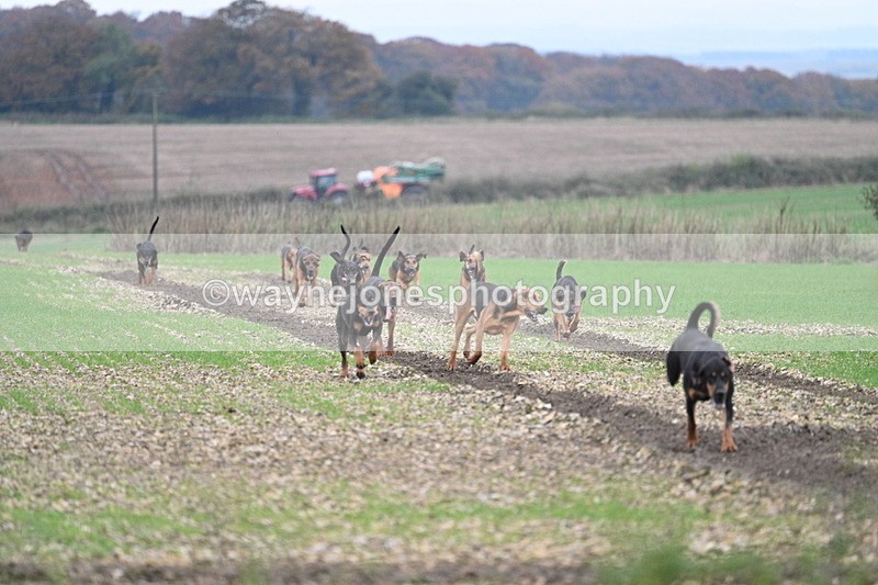 WJ7_9334 - Camera 1