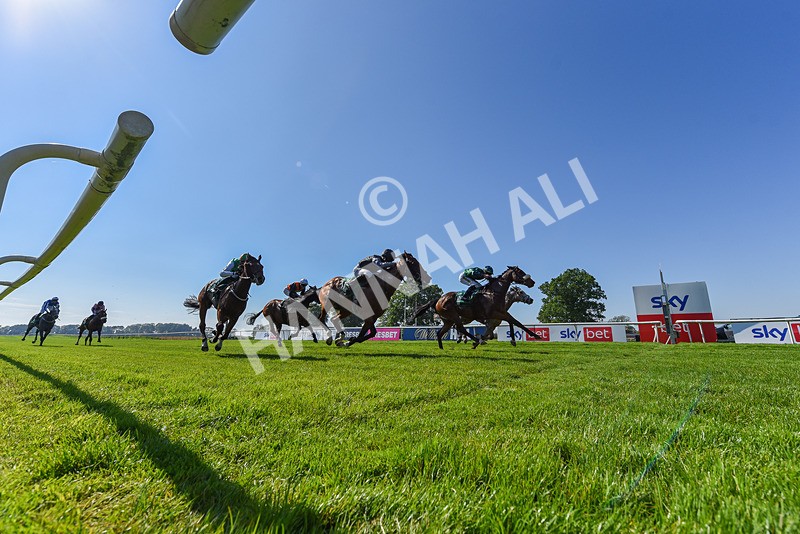 180524-Race 5-Tinto-6570 - Race 5