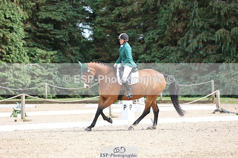 250718A-153115-02597 - 152-Tracy.OKennedy-Wylye.Harlequin