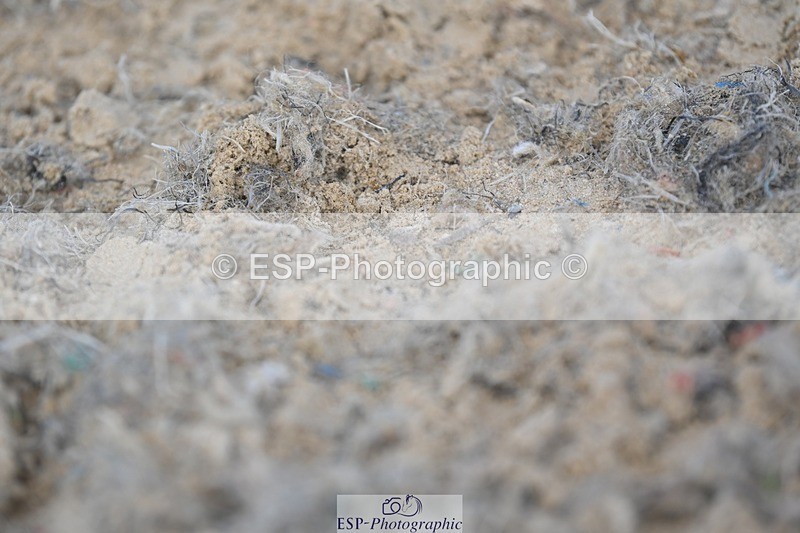 230813-083441-05643 - Cls 12 Elem Silver Start to 10.10 break