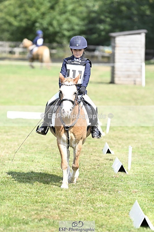 250821A-121056-15463 - DR 11.00 to 12.00