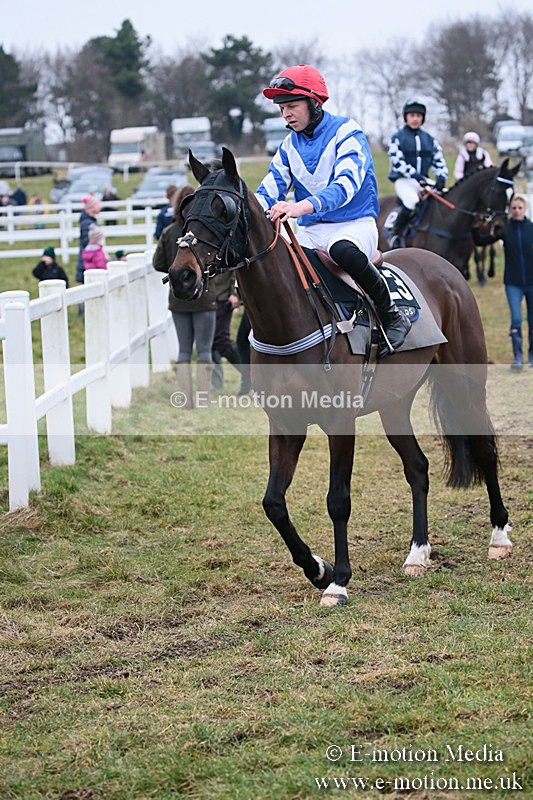 PtP 170219 -55 - Combined Services Point-To-Point Larkhill 17/02/19
