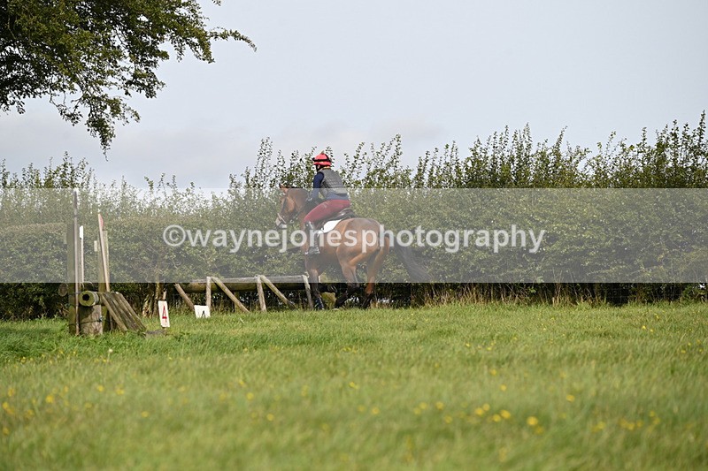 WJ6_9031 - Time 13:21 to 13:29