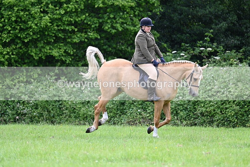 WJ7_2466 - Class 12A Coloured Class