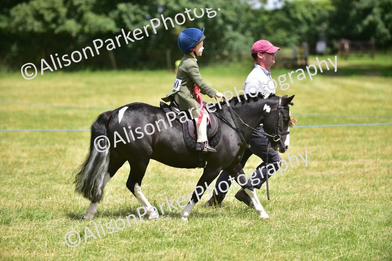 20260614-1425 - Class 11b - Lead Rein Pony (Plaited)