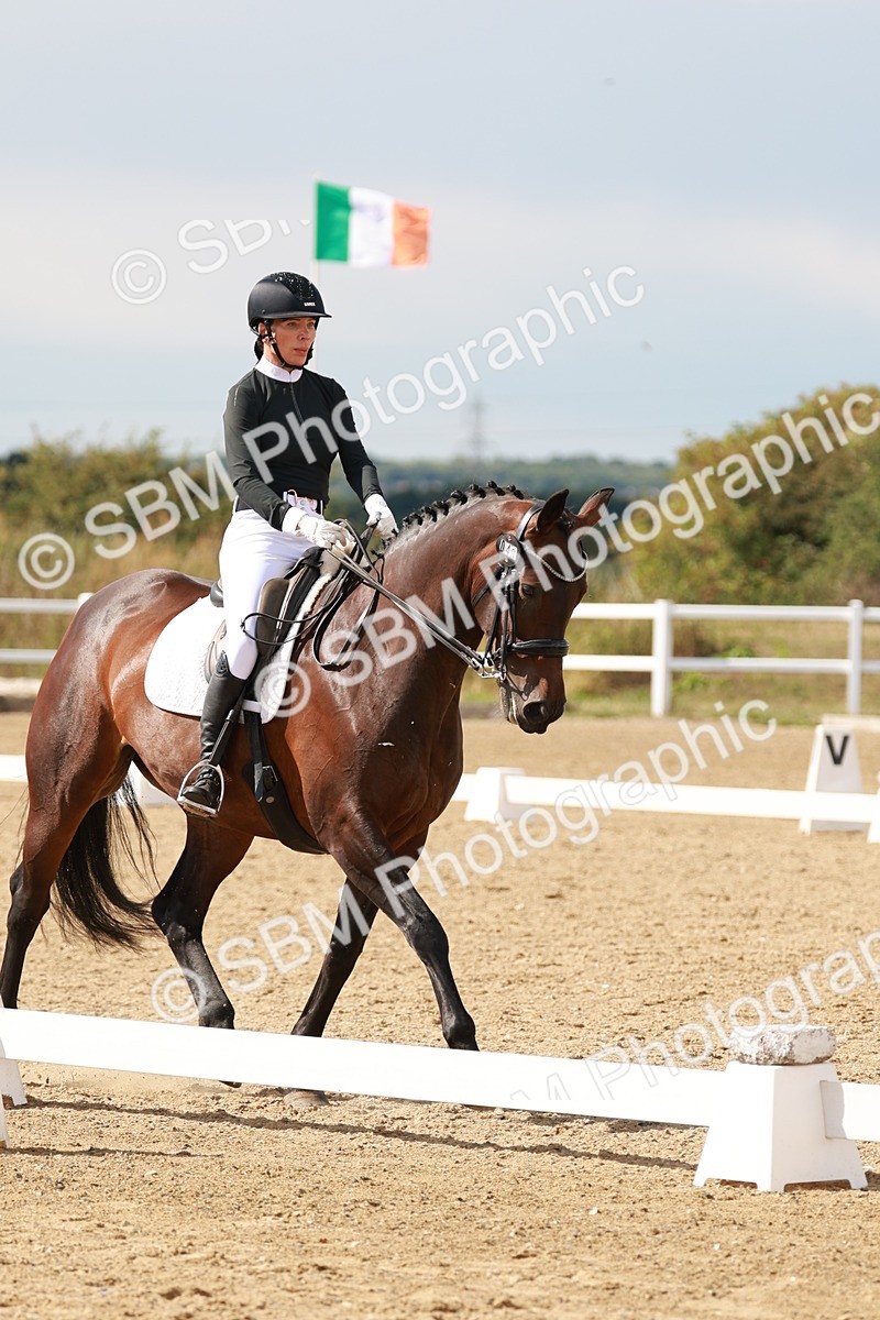 SBM_002447 - Class 11 - Medium 6