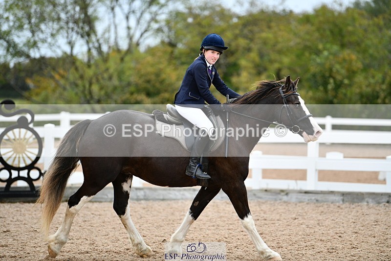 241013B-153936-01955 - Cls 6 80cm