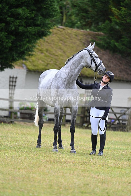 WJ7_6148 - Class 4a Prettiest Mare over 14hh