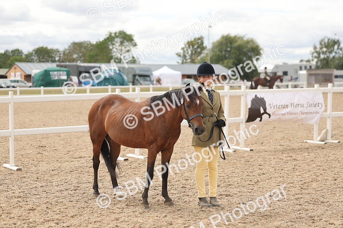 SBM_17006 - Class 312 - IH Competition Horse-Pony