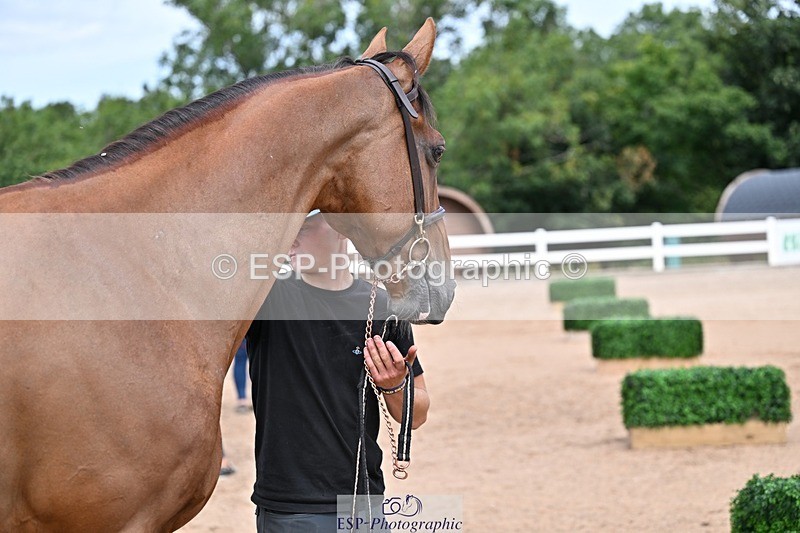 250716-130526-00317 - Trot Up 12.30 to 1.30