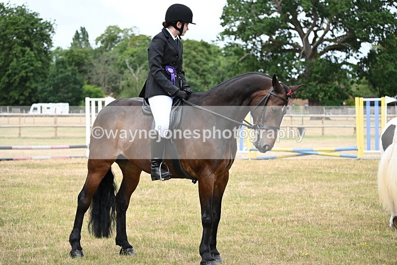 WJ6_4043 - Class 9 Tack & Turnout