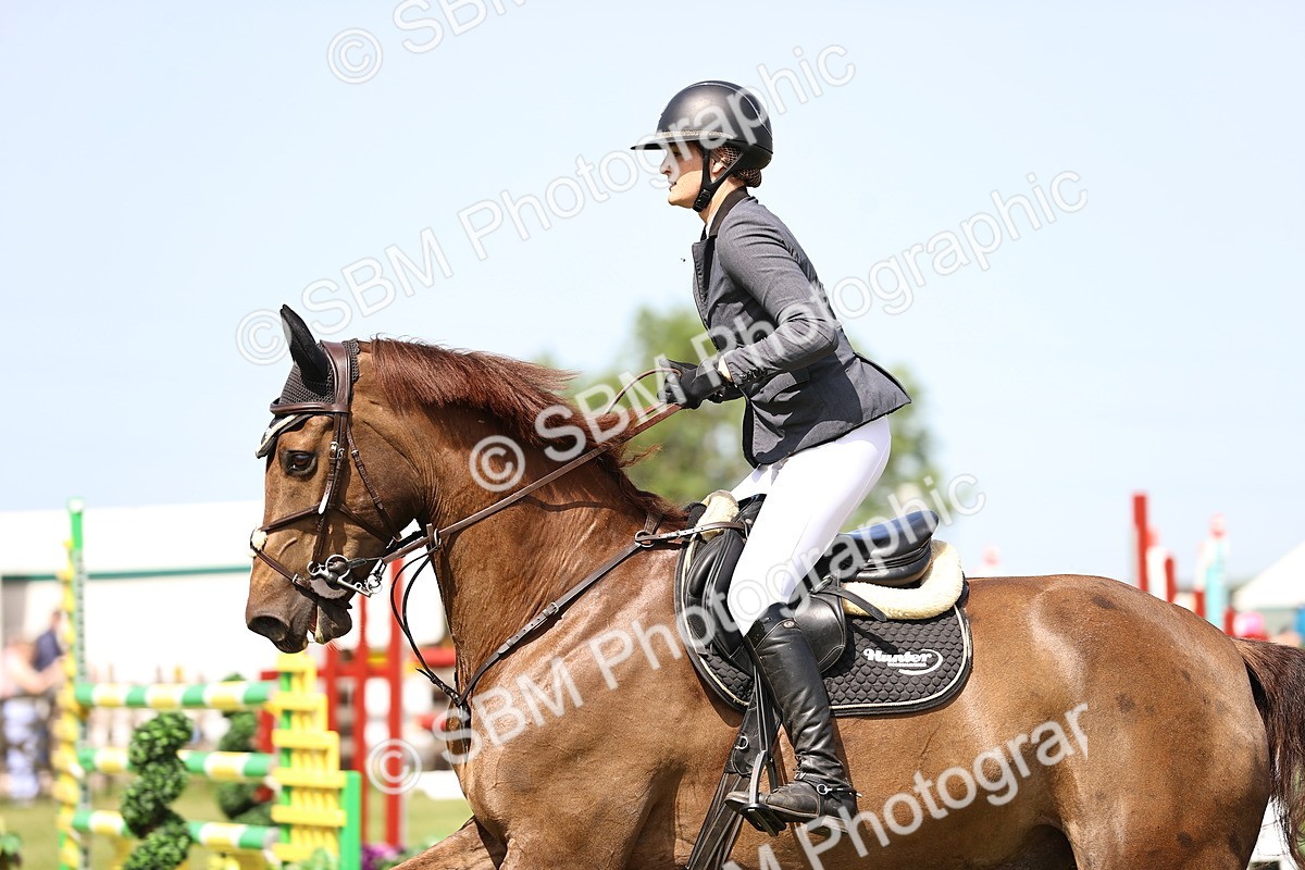 SBM_03190 - Class 201 - British Horse Feedds Speedi Beet HOYS Grade C