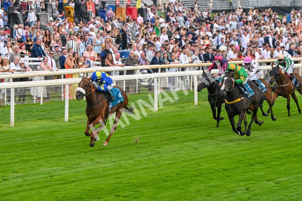 250725-Race 2-Rock N Roll Pinkie-5468 - Race 2 6.03pm Elevator Company Handicap