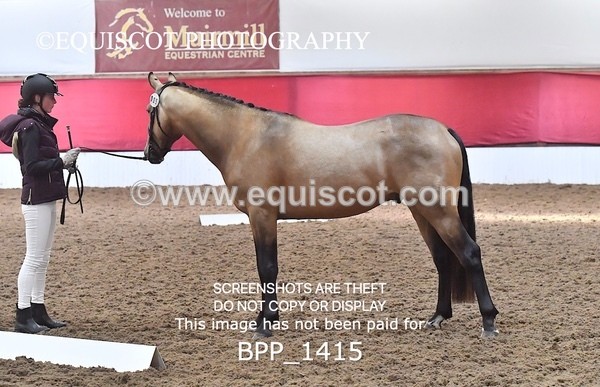 BPP_1415 - MORNING 9AM - 12PM