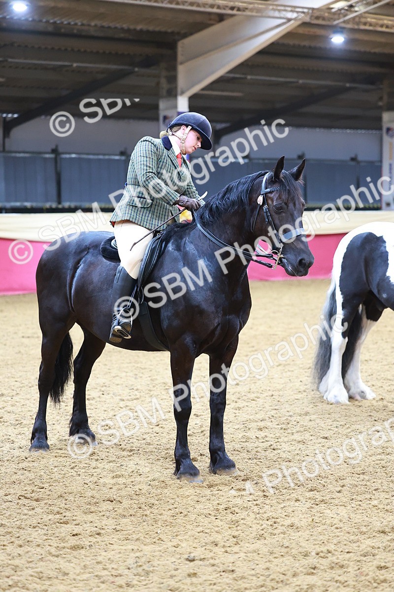 SBM_09823 - Class 102 - HOYS Veteran Qualifier - Ridden Veteran