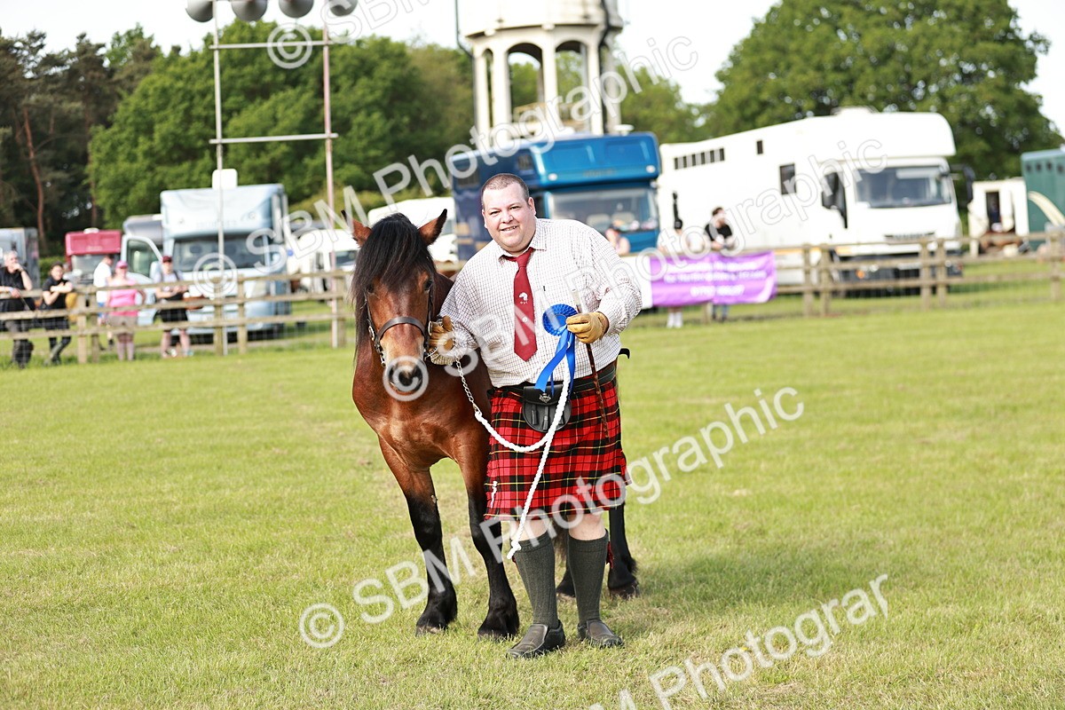 SBM_00764 - Class 14-23 - Mountain & Moorland In Hand Non Welsh