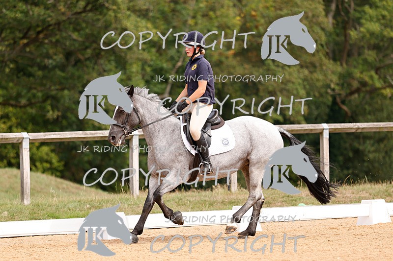 _R6A2874 - Dressage Morning