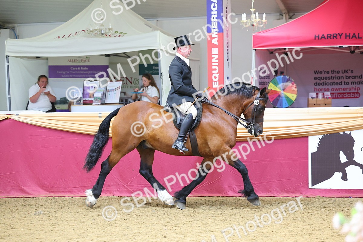 SBM_24322 - Class 906 - Supreme Final - Ridden Pre Vet