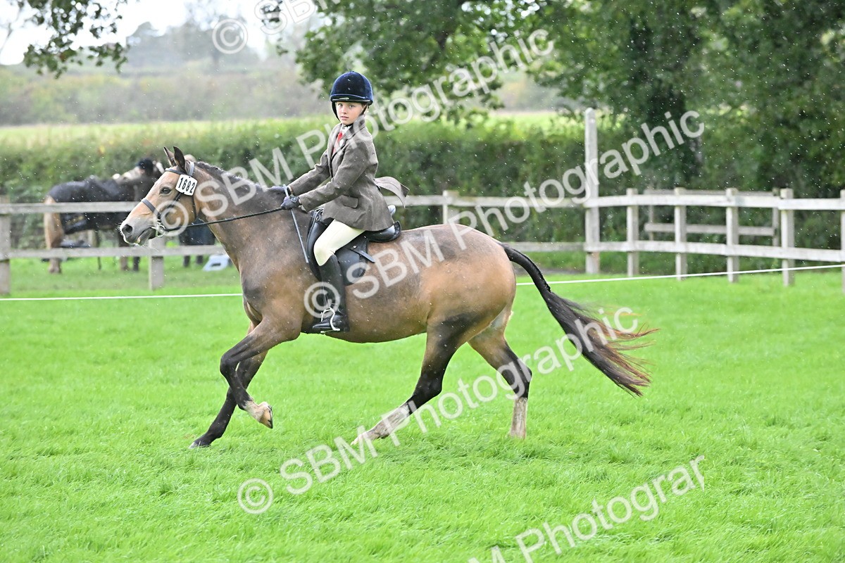 SBM_42952 - S12 - Family Horse & Pony