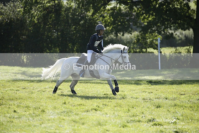  WWHT 031021 813 - WWEC Novice Restricted (0.80m) 18/10/20