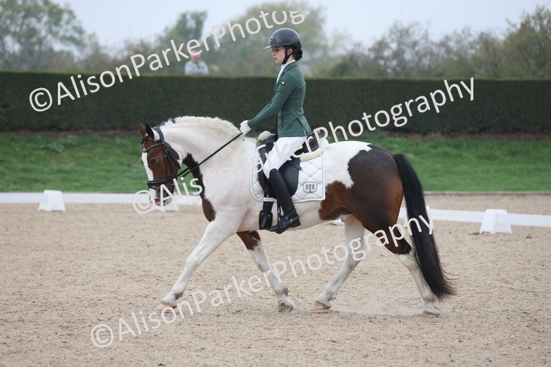 20251012-0580 - Class 5 - Elementary 5