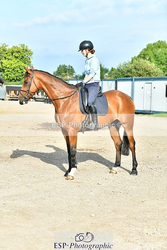 230817-083954-02442 - Stable Shots