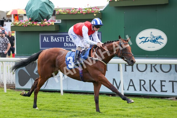 yr10062022r2-18 - Race 2 2.30pm SKF Rous Selling Stakes