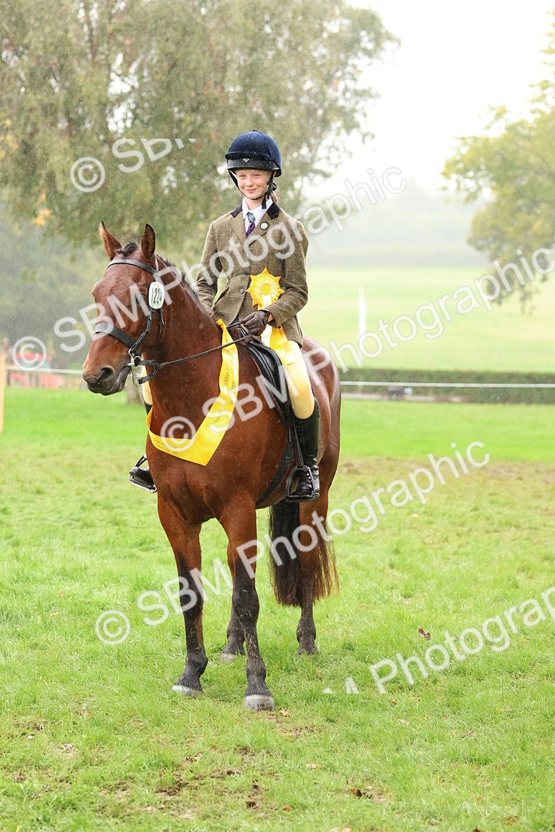 SBM_73080 - S63 Show Pony & Show Hunter Pony Ridden