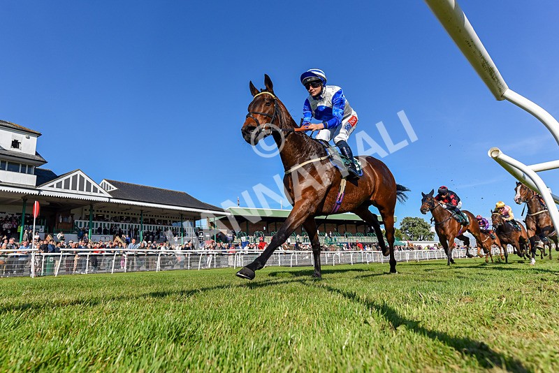 300525-Race 2-Cheerleader-3527 - Race 2