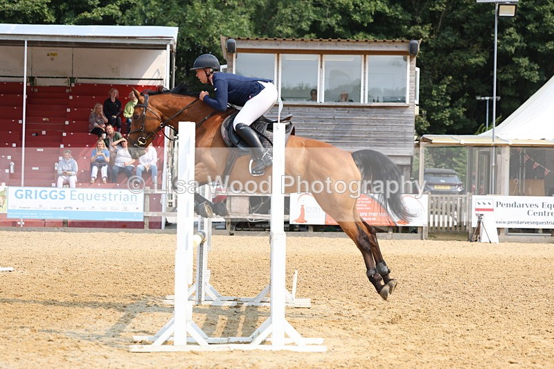 3E7A1133 - Class 4: Senior British Novice/90cm open