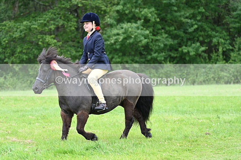 WJ7_4346 - Class 14A Handsome Gelding