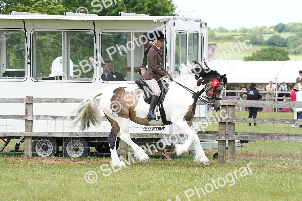 SBM_17654 - Class 107-108 - LIHS BSPS Performance Coloured Horse Pony