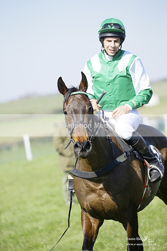 PtP 190322 244 - Wilton Hunt PtP Milborne St Andrew 19/03/22