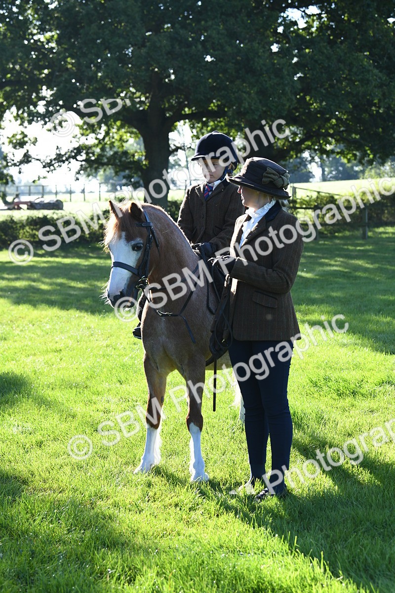 SBM_35416 - S17 - Condition & Turnout - Lead Rein