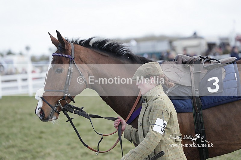 PtP 260223 365 - South & West Wilts Point-to-Point Larkhill 26/02/23