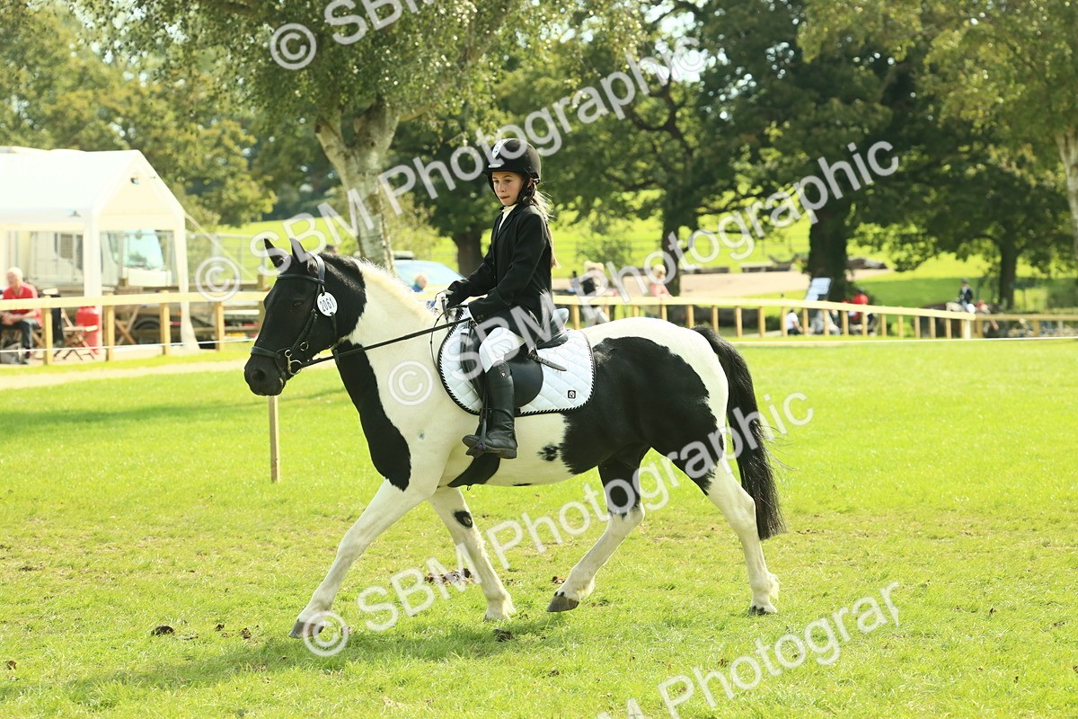 SBM_68856 - S58 - Mini Show Cob Ridden