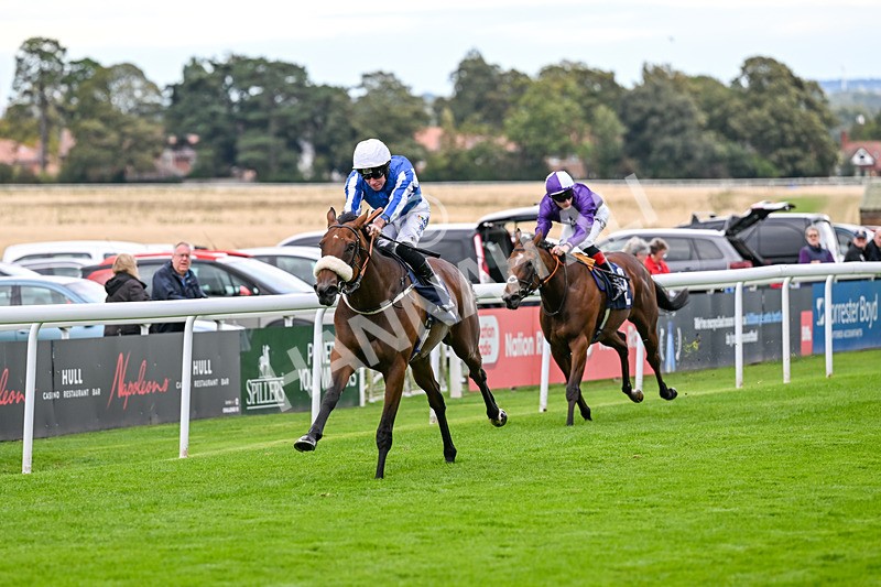 170925-Race 2-Lady Youmzain-4071 - Race 2