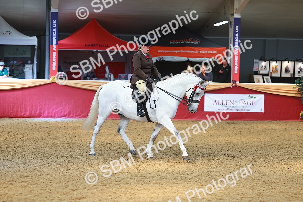 SBM_12560 - Class 103 - HOYS Veteran Qualifier - Ridden Pre Vet