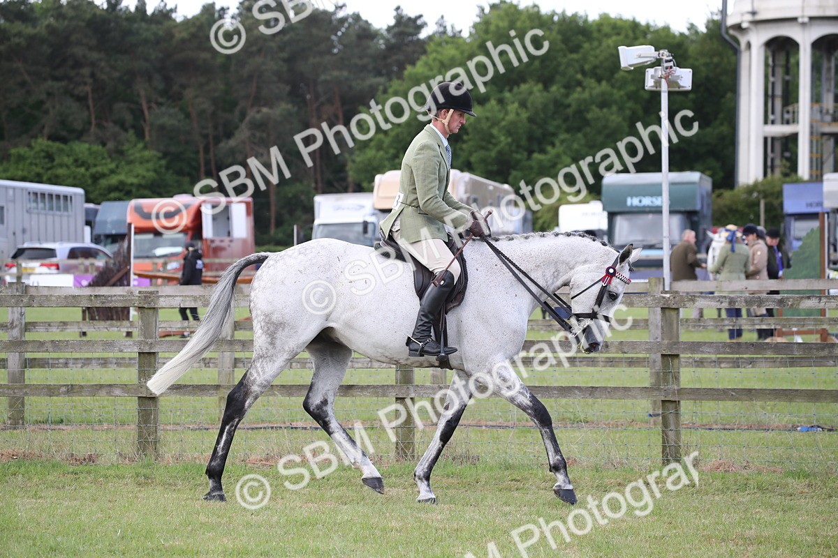 SBM_14154 - Class 113-114 - Retraining of Racehorses Ridden