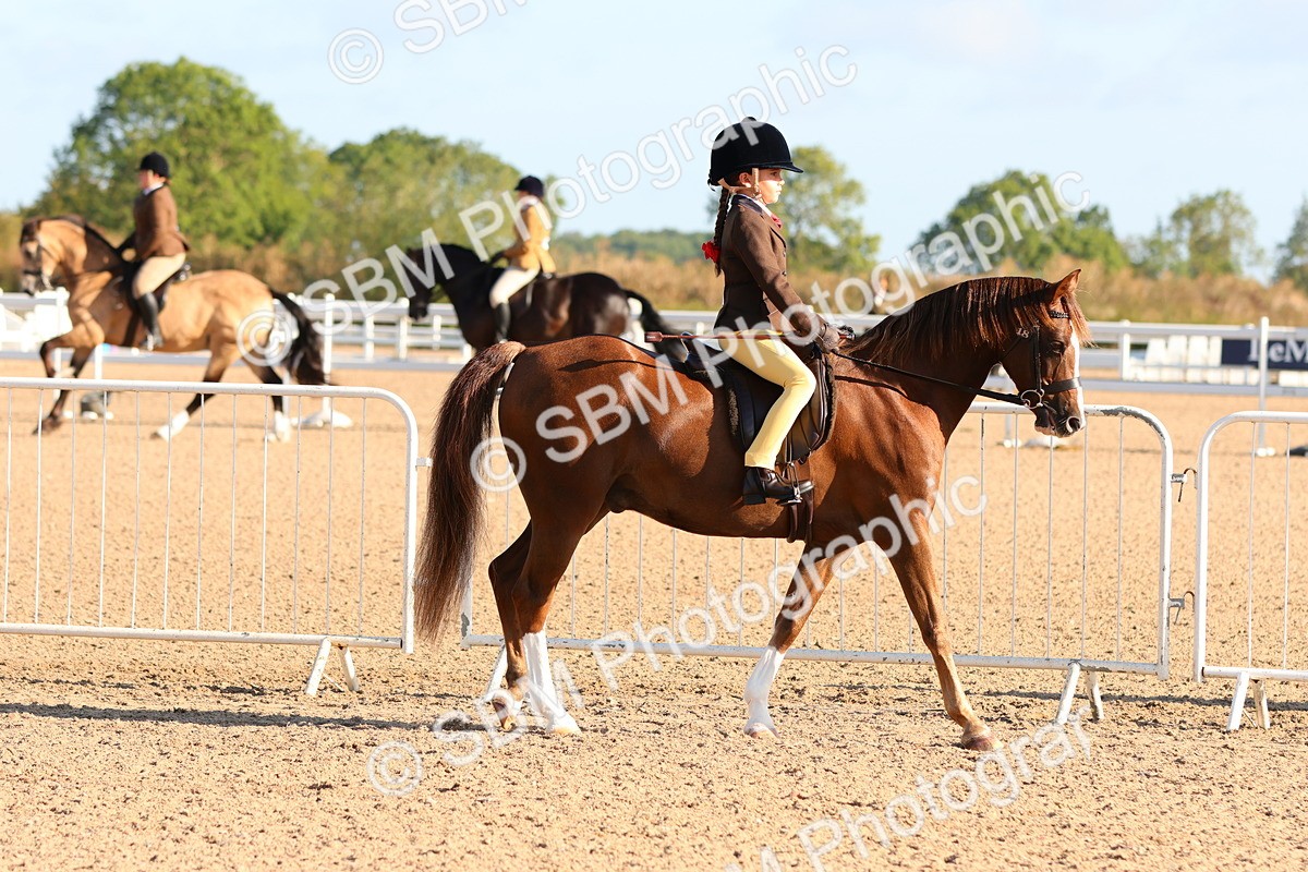 SBM_08154 - Class 202 - Best Turned Out -  Ridden