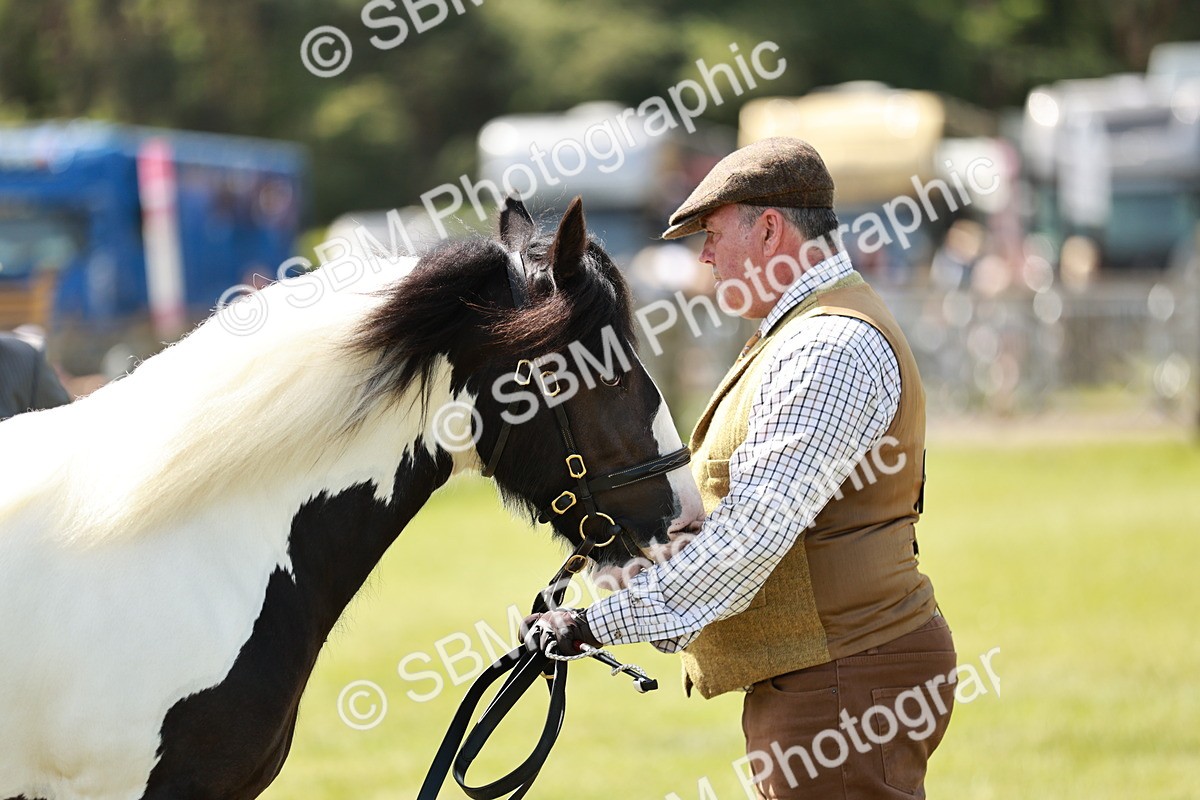 SBM_04248 - Class 39-40 - BSPA Coloured In Hand